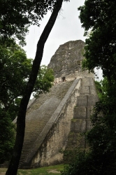 Mayan Ruins at Tikal