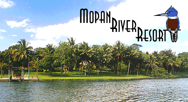 Mopan River view